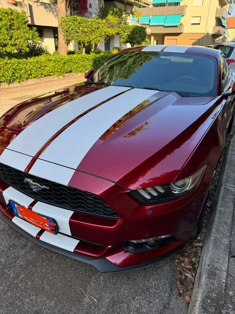 Ford Mustang Fastback 2.3 ecoboost 314cv auto - 1