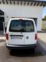 Volkswagen Caddy **TOP GEPFLEGT**2019 Klima Unfallfrei Weiß - thumbnail 5