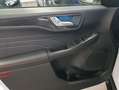 Ford Kuga 2.5 Duratec PHEV ST-LINE Weiß - thumbnail 13