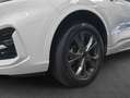 Ford Kuga 2.5 Duratec PHEV ST-LINE Weiß - thumbnail 5