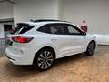 Ford Kuga ST-Line X 2.5i FHEV 190 PK - AWD Blanc - thumbnail 6
