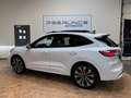 Ford Kuga ST-Line X 2.5i FHEV 190 PK - AWD Blanc - thumbnail 4