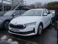 Skoda Octavia Combi 2.0 TDI Essence Sitzh. Smart Link Weiß - thumbnail 11