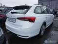 Skoda Octavia Combi 2.0 TDI Essence Sitzh. Smart Link Weiß - thumbnail 3