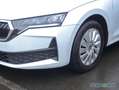 Skoda Octavia Combi 2.0 TDI Essence Sitzh. Smart Link Weiß - thumbnail 10