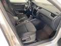 Skoda Octavia Combi 2.0 TDI DPF RS  4x4 LED*NAVI 135 kW (184 ... Weiß - thumbnail 5