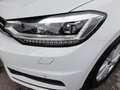 Volkswagen Touran SKY 2,0 TDI DSG *STANDHZG / SKY / LED & FERNLICHTASSIST/ NAVI / AHV & KAMERA / ACC / E-KLAPPE* Weiß - thumbnail 19