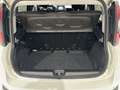 Fiat Panda 1.0 FireFly 70cv S&S Hybrid Pandina Blanc - thumbnail 11