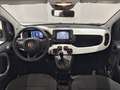 Fiat Panda 1.0 FireFly 70cv S&S Hybrid Pandina Blanc - thumbnail 8