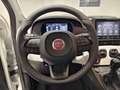 Fiat Panda 1.0 FireFly 70cv S&S Hybrid Pandina Blanc - thumbnail 12