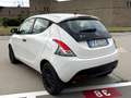 Lancia Ypsilon 1.2 69 CV 5 POSTI+TELEFONO+VOLANTE MULTIFUNZIONE Blanc - thumbnail 6