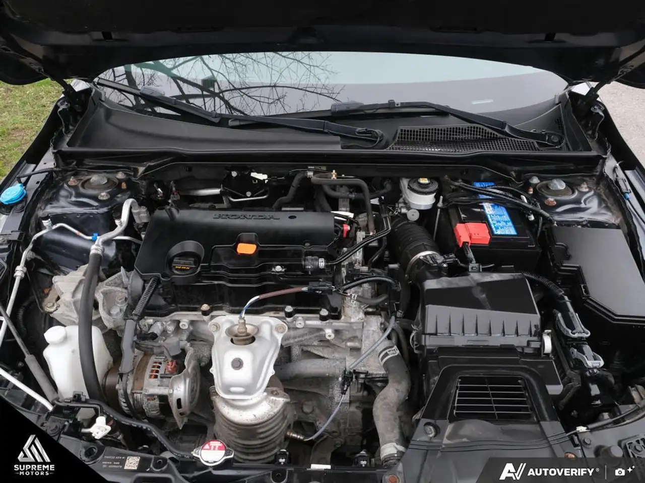 Honda Civic fotografie Honda Civic