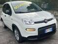 Fiat Panda Panda III 2021 1.0 hybrid City Life Blanc - thumbnail 2