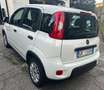 Fiat Panda Panda III 2021 1.0 hybrid City Life Blanc - thumbnail 3