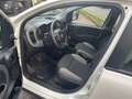 Fiat Panda Panda III 2021 1.0 hybrid City Life Blanc - thumbnail 9