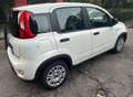 Fiat Panda Panda III 2021 1.0 hybrid City Life Blanc - thumbnail 4