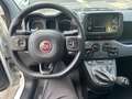 Fiat Panda Panda III 2021 1.0 hybrid City Life Blanc - thumbnail 5