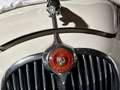 Jaguar MK II 3.4 Oro Blanc - thumbnail 3