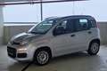 Fiat Panda 1.2 Easy Grau - thumbnail 3