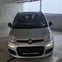 Fiat Panda 1.2 Easy Grau - thumbnail 13