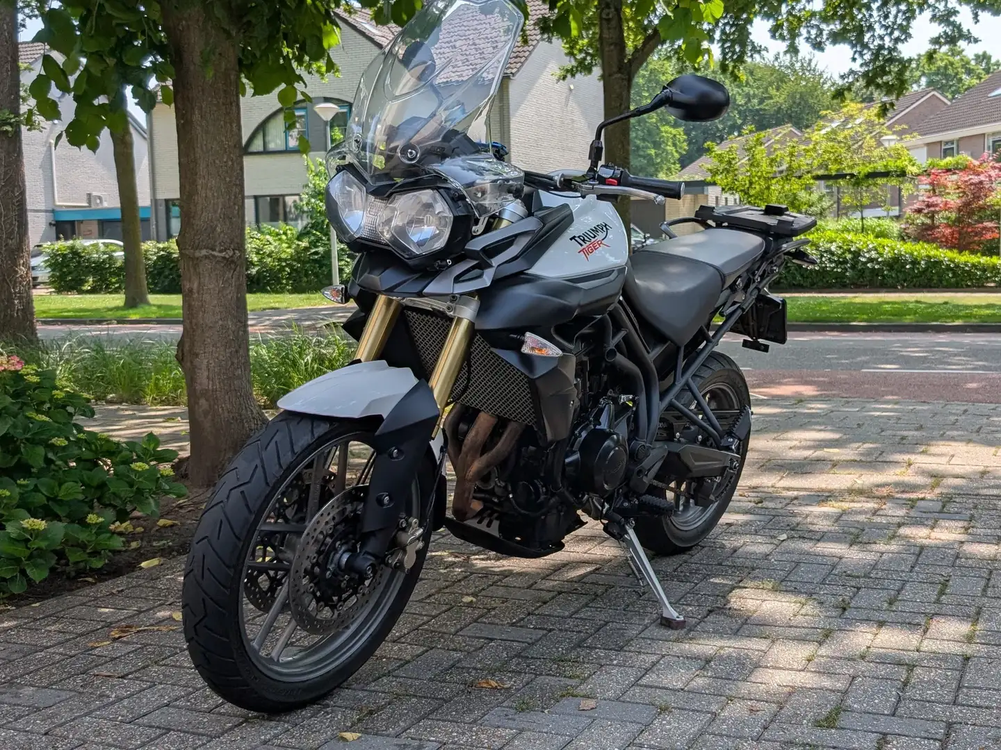 Triumph Tiger 800 Wit - 1