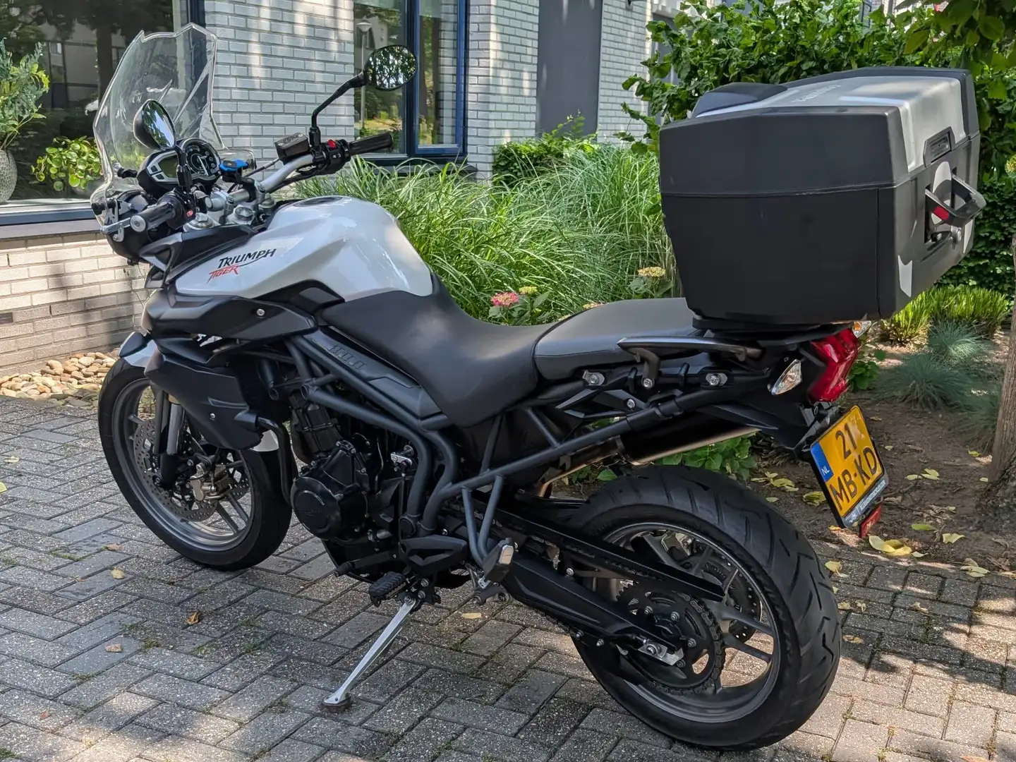 Triumph Tiger 800 Wit - 2
