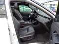 Land Rover Range Rover Evoque 2.0d i4 mhev R-Dynamic S awd 150cv auto Weiß - thumbnail 8