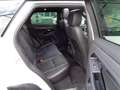 Land Rover Range Rover Evoque 2.0d i4 mhev R-Dynamic S awd 150cv auto Weiß - thumbnail 9
