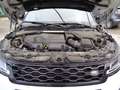 Land Rover Range Rover Evoque 2.0d i4 mhev R-Dynamic S awd 150cv auto Weiß - thumbnail 10