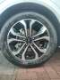 Ford Puma ST Line*WinterP*AssistenzP*KomfortP* Bianco - thumbnail 15