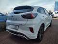 Ford Puma ST Line*WinterP*AssistenzP*KomfortP* Bianco - thumbnail 4