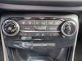 Ford Puma ST Line*WinterP*AssistenzP*KomfortP* Bianco - thumbnail 12