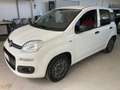 Fiat Panda 1.2 Easy easypower Gpl 69cv - 2 POSTI - AUTOCARRO Bianco - thumbnail 1
