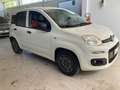 Fiat Panda 1.2 Easy easypower Gpl 69cv - 2 POSTI - AUTOCARRO Bianco - thumbnail 3
