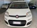 Fiat Panda 1.2 Easy easypower Gpl 69cv - 2 POSTI - AUTOCARRO Bianco - thumbnail 2