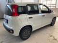 Fiat Panda 1.2 Easy easypower Gpl 69cv - 2 POSTI - AUTOCARRO Bianco - thumbnail 4