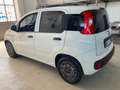 Fiat Panda 1.2 Easy easypower Gpl 69cv - 2 POSTI - AUTOCARRO Bianco - thumbnail 6