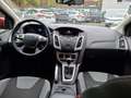 Ford Focus Champions Edition Rouge - thumbnail 7