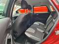Ford Focus Champions Edition Rouge - thumbnail 9