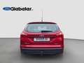 Ford Focus Champions Edition Rouge - thumbnail 12
