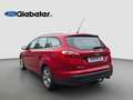 Ford Focus Champions Edition Rouge - thumbnail 11
