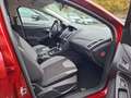 Ford Focus Champions Edition Rouge - thumbnail 8