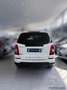 SsangYong Rexton 2.2 Diesel 4WD M/T Plus  - 7 POSTI - GOMME 4 STAG Blanc - thumbnail 13