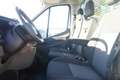 Ford Transit Transit 2.0 TDCI L2 310 Pritsche/MWST/NETTO 12495. - thumbnail 12
