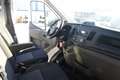 Ford Transit Transit 2.0 TDCI L2 310 Pritsche/MWST/NETTO 12495. - thumbnail 13