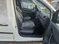 Volkswagen Caddy Kasten Economy (NEU PICKERL) Weiß - thumbnail 10