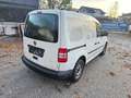 Volkswagen Caddy Kasten Economy (NEU PICKERL) Weiß - thumbnail 5