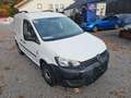 Volkswagen Caddy Kasten Economy (NEU PICKERL) Weiß - thumbnail 3
