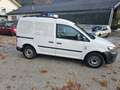 Volkswagen Caddy Kasten Economy (NEU PICKERL) Weiß - thumbnail 4