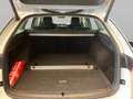 Skoda Octavia Combi Selection 1.5 TSI e-TEC DSG *ACC* Bianco - thumbnail 9